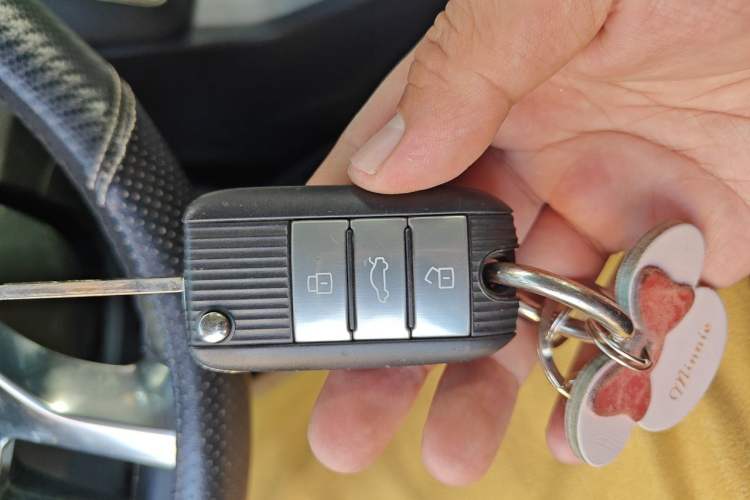 Used Roewe RX5 2016 20T Two-Wheel Drive Manual Flagship Edition Vehicle Key