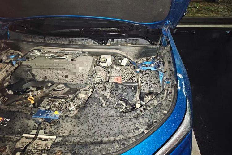 Used Roewe RX5 2017 20T Two-Wheel Drive Automatic Internet Elite Edition Engine Bay Left