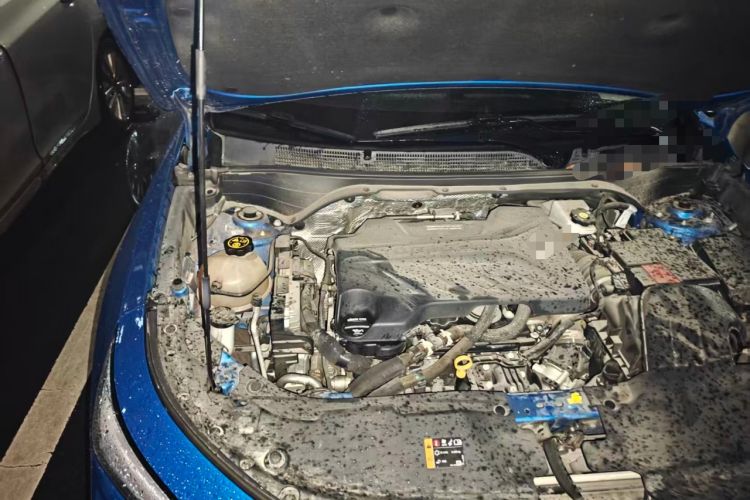 Used Roewe RX5 2017 20T Two-Wheel Drive Automatic Internet Elite Edition Engine Bay Right