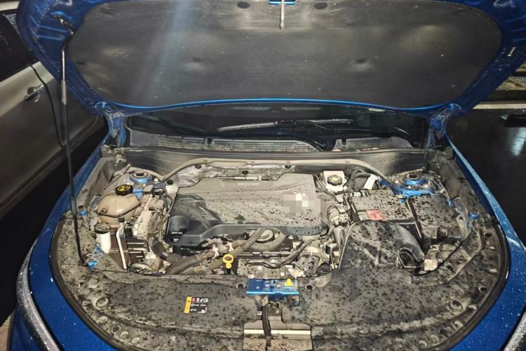 Used Roewe RX5 2017 20T Two-Wheel Drive Automatic Internet Elite Edition Engine Bay