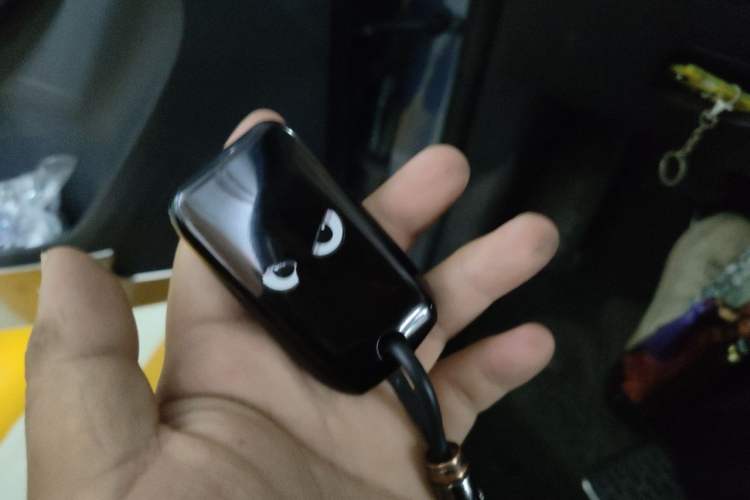 Used Roewe RX5 2017 20T Two-Wheel Drive Automatic Internet Elite Edition Vehicle Key