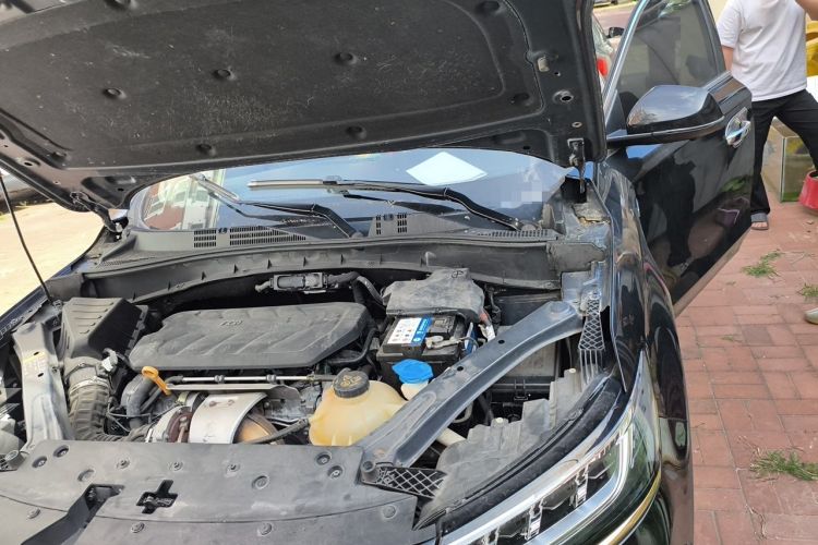 Used Roewe RX5 2018 30T Two-Wheel Drive Automatic Internet Black Gold Limited Edition Engine Bay Left
