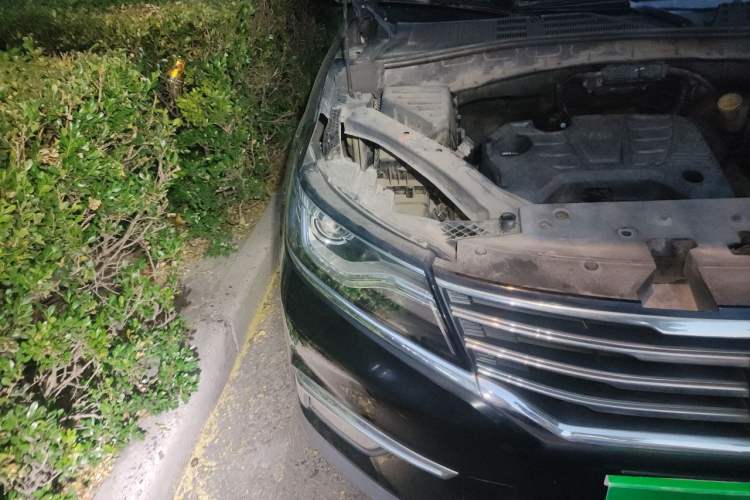 Used Roewe RX5 2018 20T Two-Wheel Drive Automatic Internet Smart Edition Engine Bay Right
