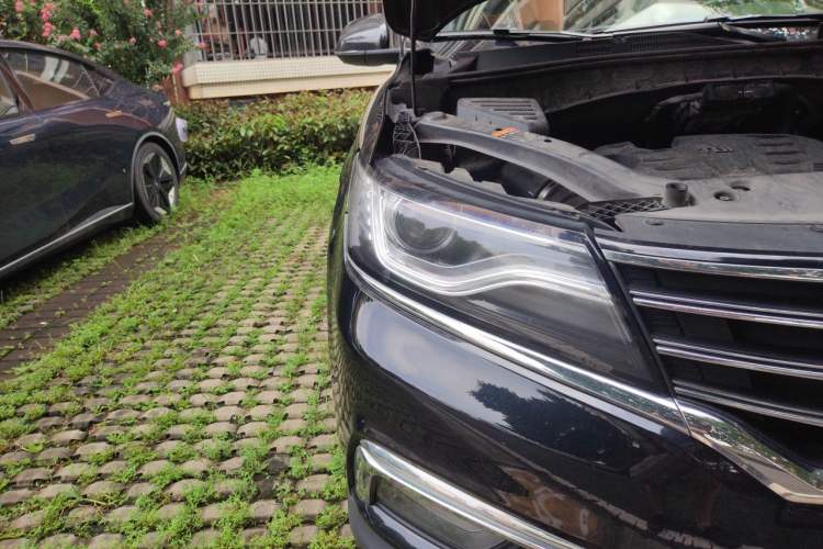 Used Roewe RX5 2018 20T Two-Wheel Drive Automatic Flagship Edition Exterior 6