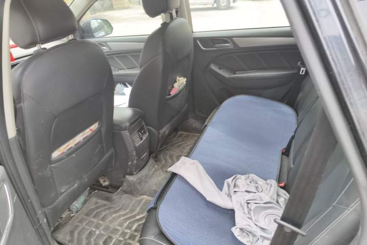 Used Roewe RX5 2018 20T Two-Wheel Drive Automatic Flagship Edition Left Rear Seat