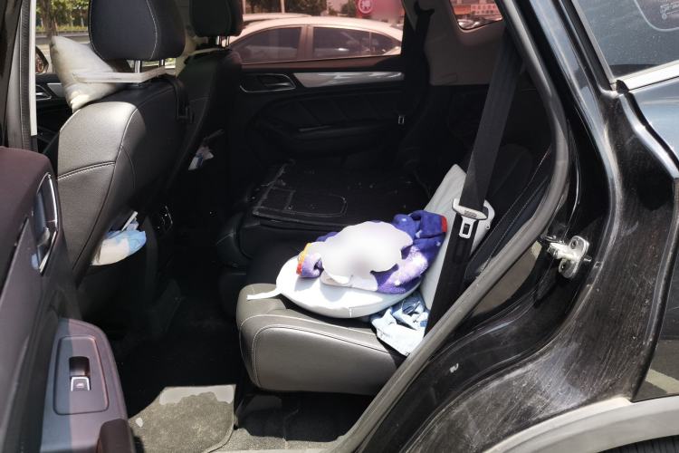 Used Roewe RX5 2018 20T Two-Wheel Drive Automatic Internet Smart Edition Left Rear Seat