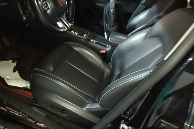 Used Roewe RX5 2018 20T Two-Wheel Drive Automatic Flagship Edition Left Front Seat