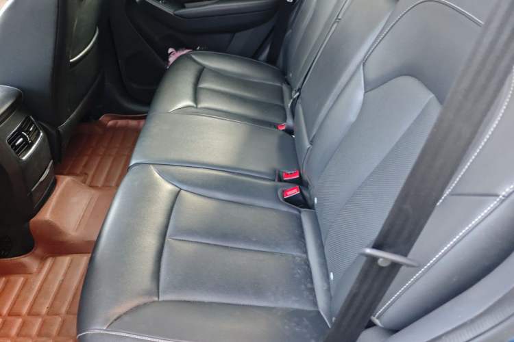 Used Roewe RX5 2018 20T Two-Wheel Drive Automatic Internet Smart Edition Left Rear Seat