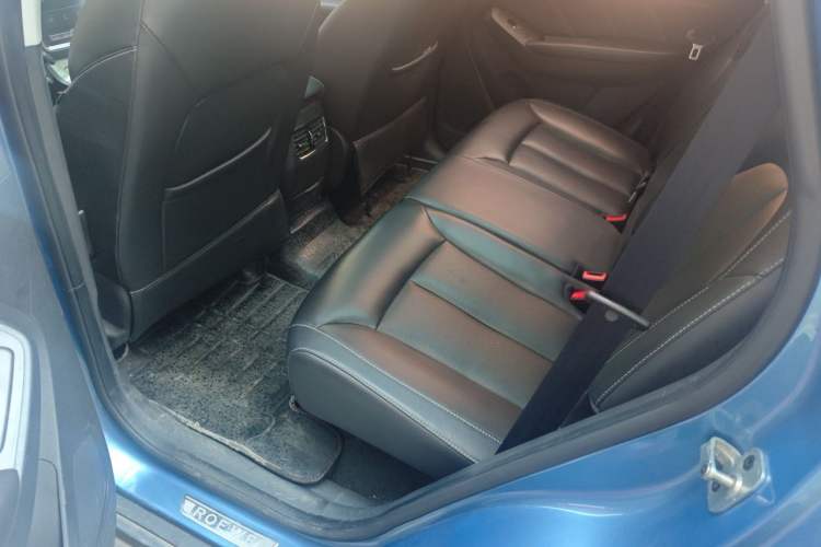Used Roewe RX5 2018 20T Two-Wheel Drive Automatic Internet Smart Luxury Edition Left Rear Seat