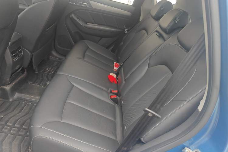 Used Roewe RX5 2018 20T Two-Wheel Drive Automatic Flagship Edition Left Rear Seat