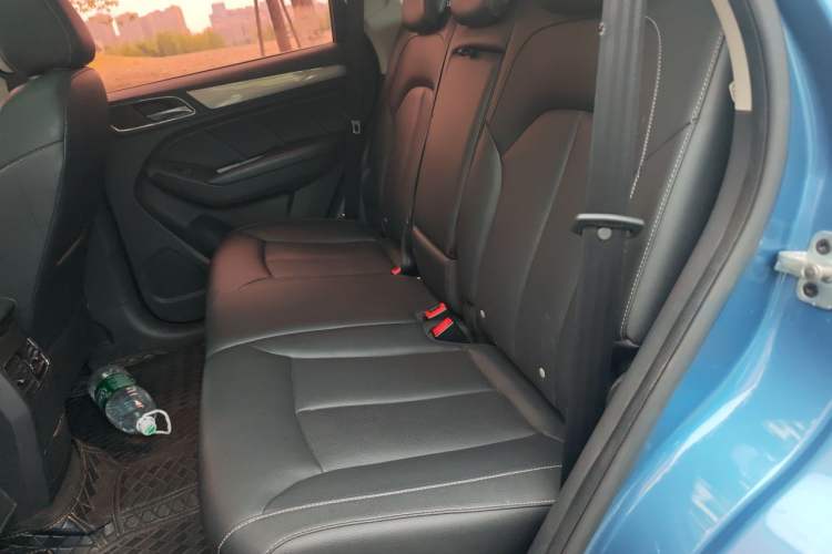 Used Roewe RX5 2018 20T Two-Wheel Drive Automatic Flagship Edition Left Rear Seat