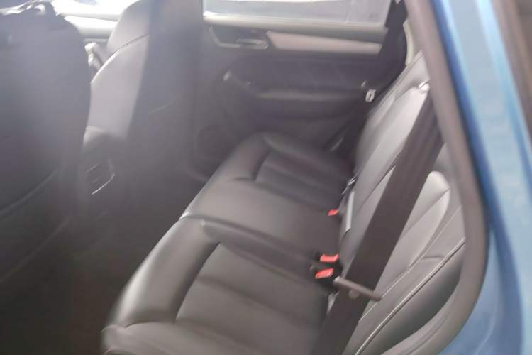 Used Roewe RX5 2018 20T Two-Wheel Drive Automatic Internet Smart Edition Left Rear Seat