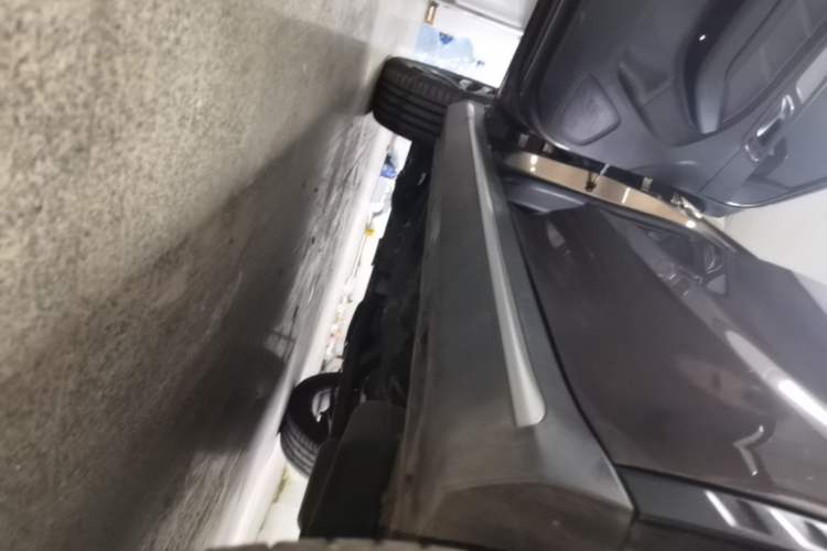 Used Roewe RX5 2018 20T Two-Wheel Drive Automatic Internet Smart Luxury Edition Left Side Sill