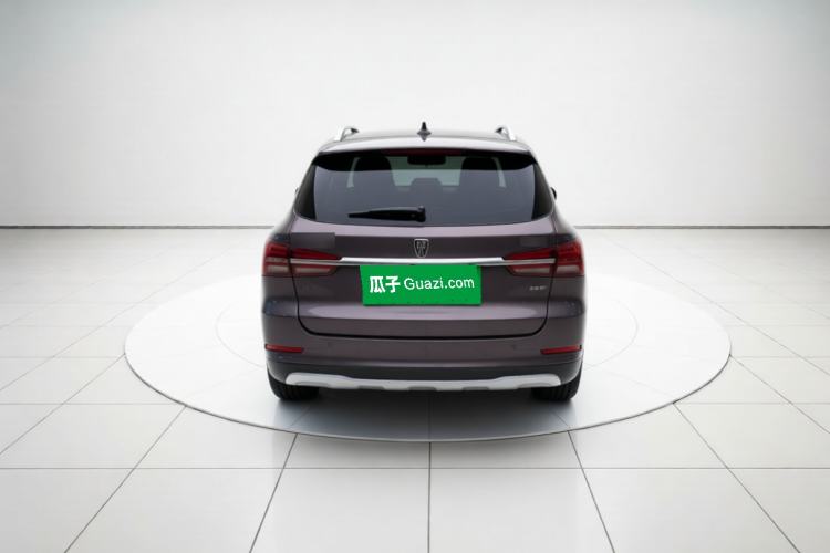 Used Roewe RX5 2018 20T Two-Wheel Drive Automatic Internet Smart Luxury Edition Rear
