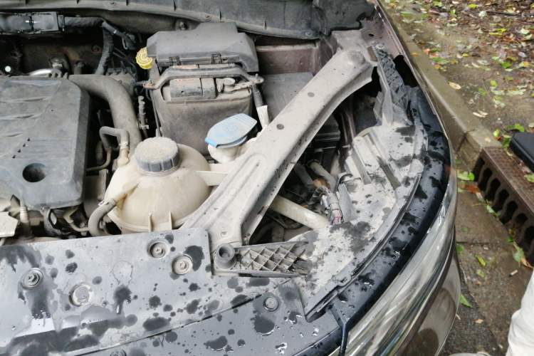 Used Roewe RX5 2018 20T Two-Wheel Drive Automatic Internet Smart Edition Engine Bay Left