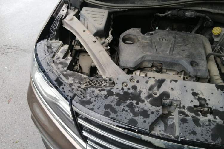 Used Roewe RX5 2018 20T Two-Wheel Drive Automatic Internet Smart Edition Engine Bay Right