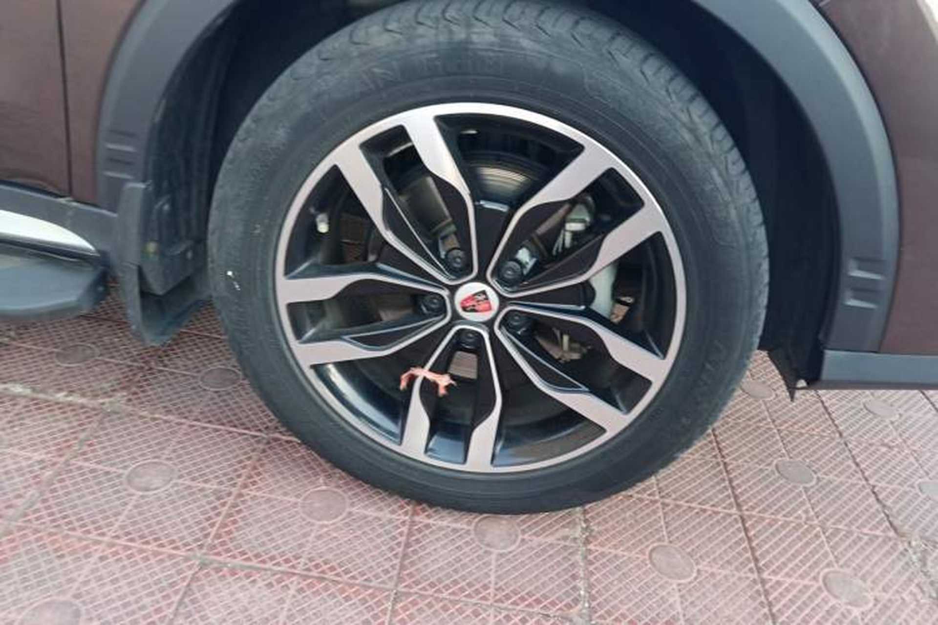 Used Roewe RX5 2018 20T Two-Wheel Drive Manual Internet Smart Edition Right Front Wheel Hub