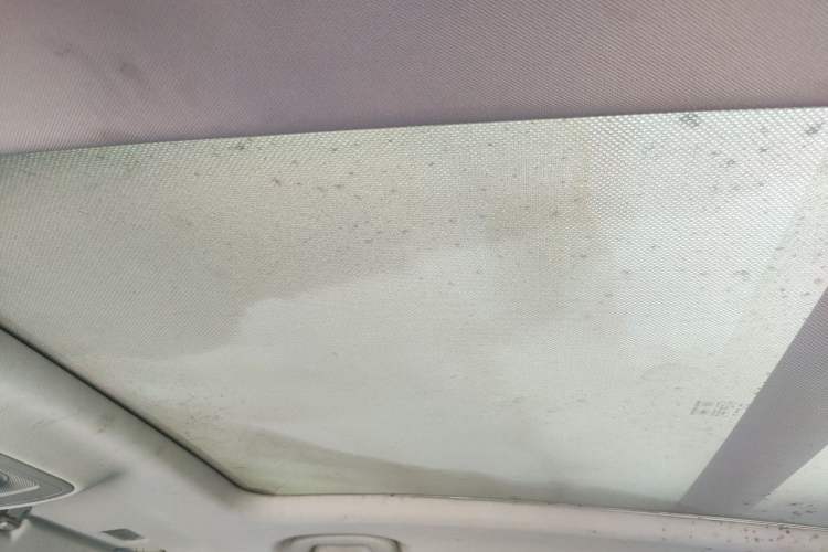 Used Roewe RX5 2018 20T Two-Wheel Drive Manual Internet Smart Edition Headliner