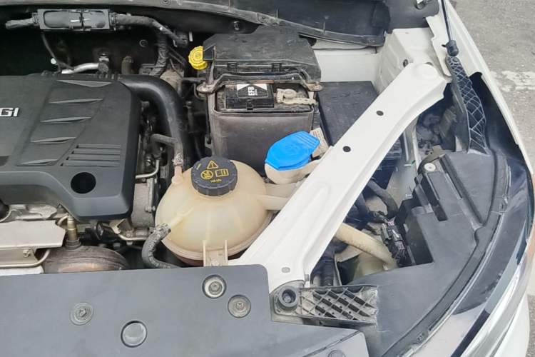 Used Roewe RX5 2018 20T Two-Wheel Drive Automatic Flagship Edition Engine Bay Left