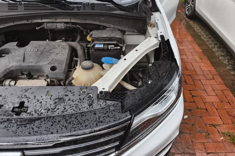 Used Roewe RX5 2018 20T Two-Wheel Drive Automatic Internet Smart Edition Engine Bay Left