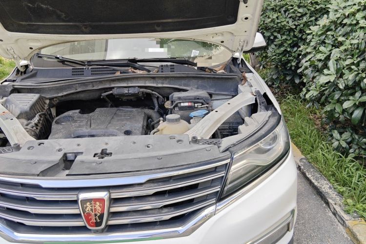 Used Roewe RX5 2018 20T Two-Wheel Drive Automatic Internet Smart Edition Engine Bay Left
