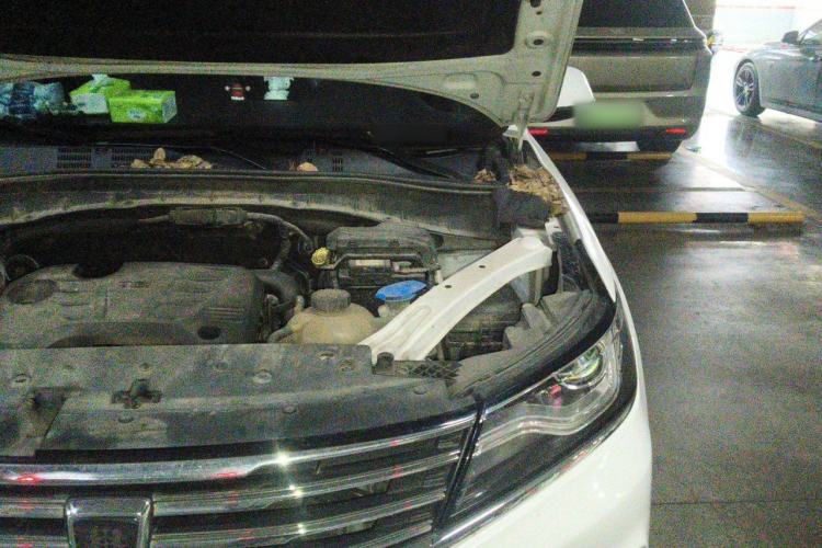 Used Roewe RX5 2018 20T Two-Wheel Drive Automatic Flagship Edition Engine Bay Left