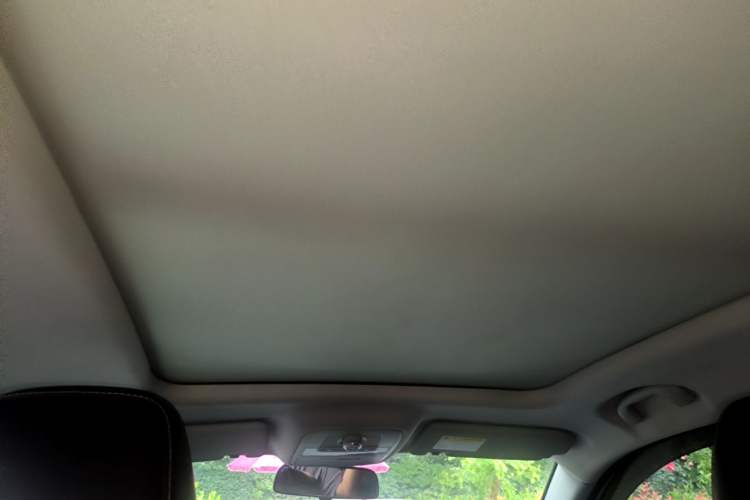 Used Roewe RX5 2018 20T Two-Wheel Drive Automatic Flagship Edition Headliner