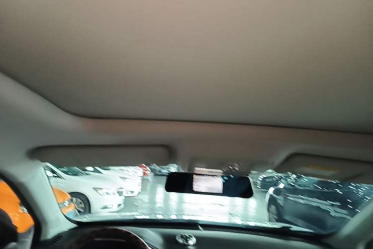 Used Roewe RX5 2018 20T Two-Wheel Drive Automatic Flagship Edition Headliner