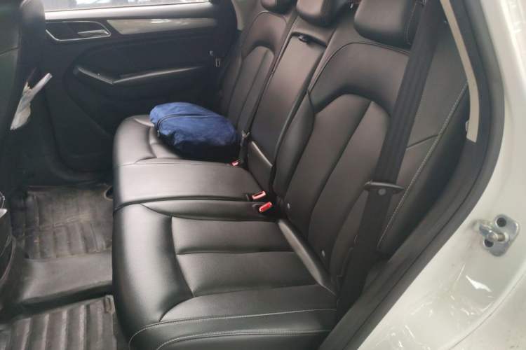 Used Roewe RX5 2018 20T Two-Wheel Drive Automatic Internet Smart Edition Left Rear Seat