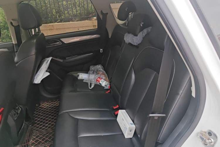 Used Roewe RX5 2018 20T Two-Wheel Drive Automatic Flagship Edition Left Rear Seat