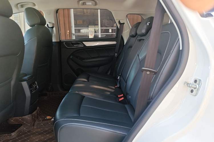 Used Roewe RX5 2018 30T Two-Wheel Drive Automatic Internet Platinum Edition Left Rear Seat