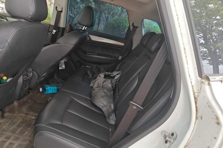 Used Roewe RX5 2018 20T Two-Wheel Drive Automatic Internet Smart Edition Left Rear Seat