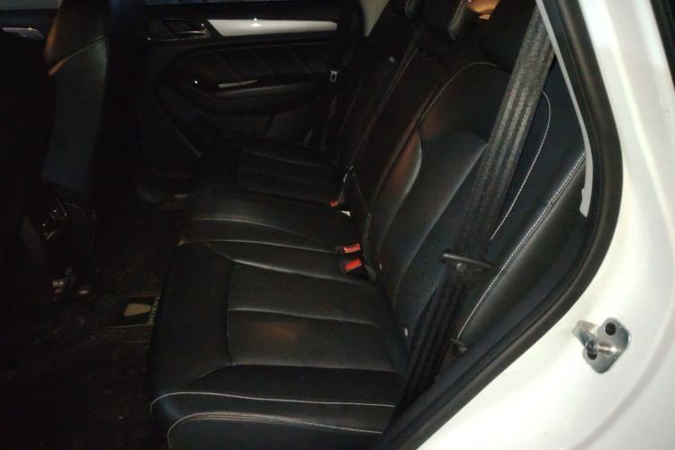 Used Roewe RX5 2018 20T Two-Wheel Drive Automatic Flagship Edition Left Rear Seat