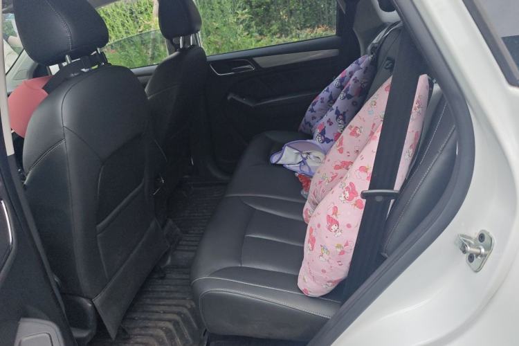 Used Roewe RX5 2018 20T Two-Wheel Drive Automatic Flagship Edition Left Rear Seat