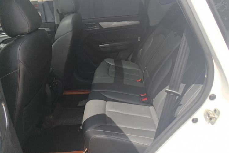 Used Roewe RX5 2018 20T Two-Wheel Drive Automatic Flagship Edition Left Rear Seat
