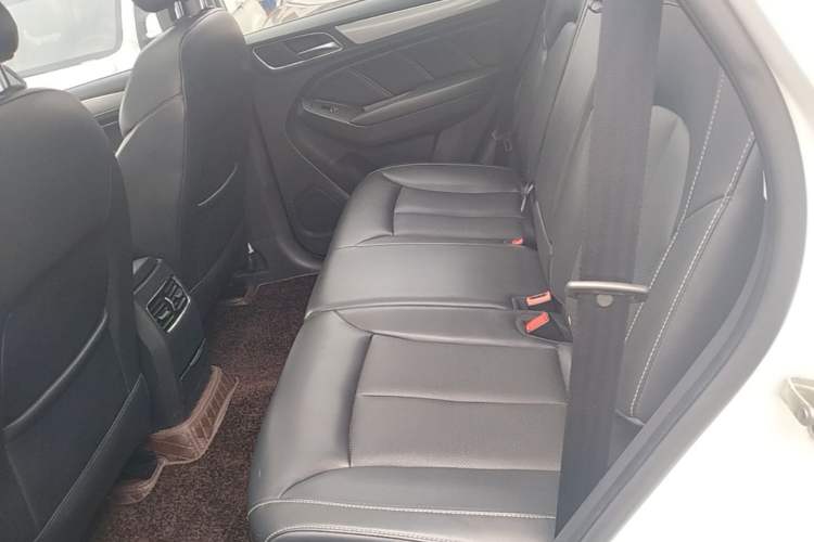 Used Roewe RX5 2018 20T Two-Wheel Drive Automatic Internet Smart Luxury Edition Left Rear Seat