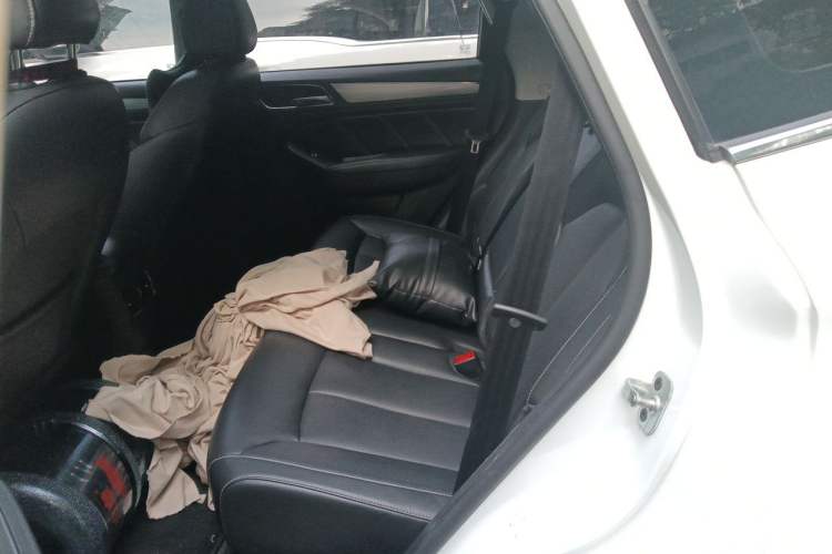 Used Roewe RX5 2018 20T Two-Wheel Drive Automatic Internet Smart Edition Left Rear Seat