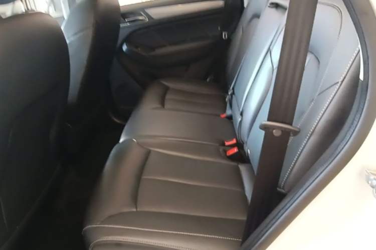 Used Roewe RX5 2018 20T Two-Wheel Drive Manual Flagship Edition Left Rear Seat