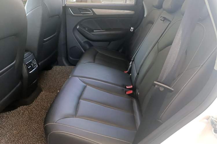 Used Roewe RX5 2018 20T Two-Wheel Drive Automatic Flagship Edition Left Rear Seat