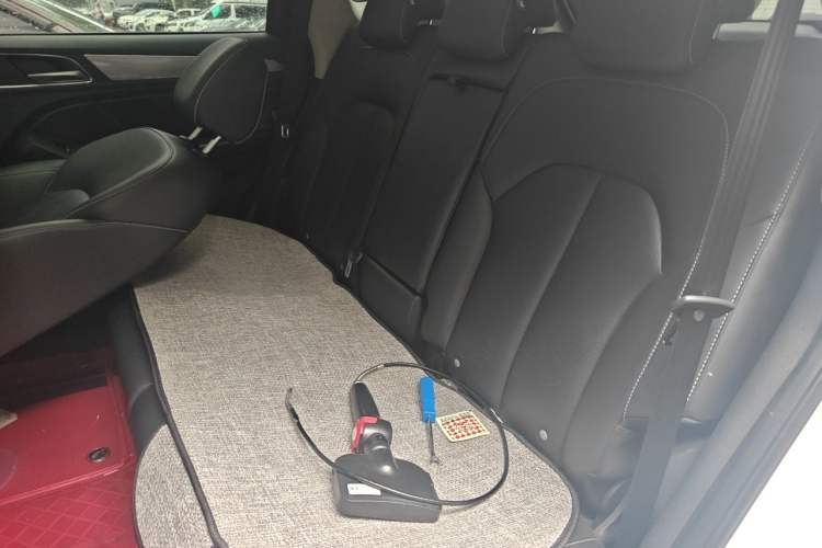 Used Roewe RX5 2018 20T Two-Wheel Drive Automatic Flagship Edition Left Rear Seat