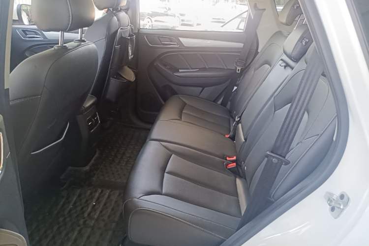 Used Roewe RX5 2018 20T Two-Wheel Drive Automatic Internet Smart Luxury Edition Left Rear Seat