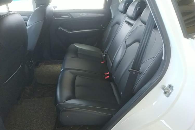 Used Roewe RX5 2018 20T Two-Wheel Drive Automatic Internet Smart Edition Left Rear Seat