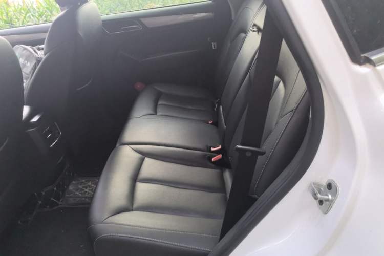 Used Roewe RX5 2018 20T Two-Wheel Drive Automatic Internet Smart Edition Left Rear Seat