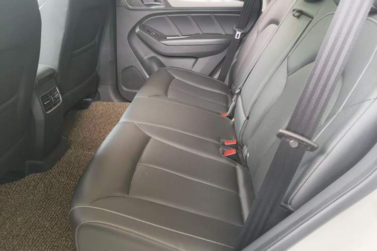 Used Roewe RX5 2018 20T Two-Wheel Drive Automatic Flagship Edition Left Rear Seat