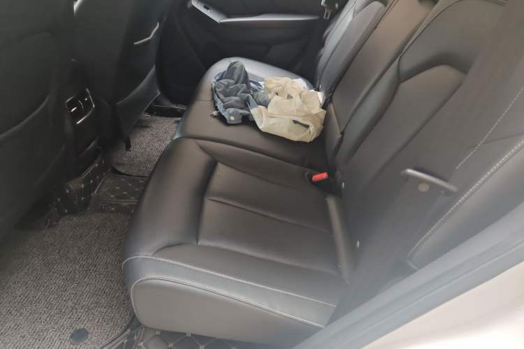 Used Roewe RX5 2018 20T Two-Wheel Drive Automatic Flagship Edition Left Rear Seat