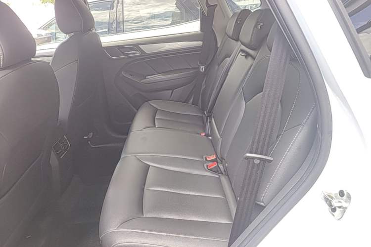 Used Roewe RX5 2018 20T Two-Wheel Drive Automatic Flagship Edition Left Rear Seat
