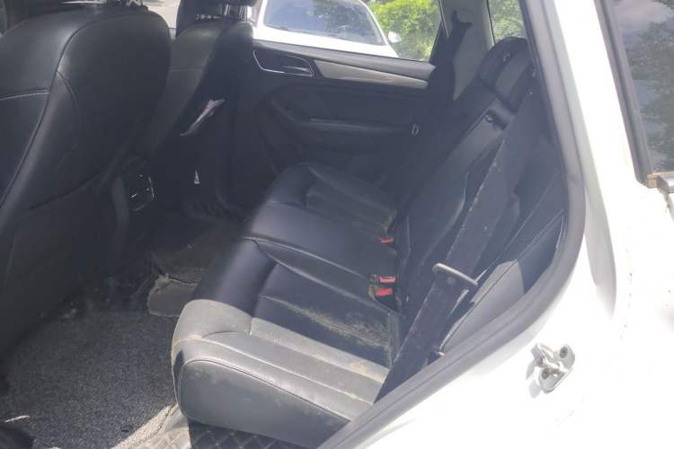 Used Roewe RX5 2018 20T Two-Wheel Drive Automatic Flagship Edition Left Rear Seat