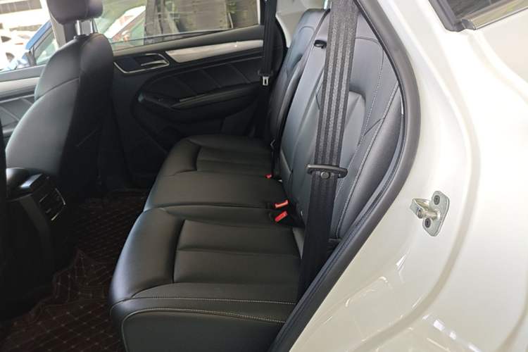 Used Roewe RX5 2018 30T Two-Wheel Drive Automatic Internet Platinum Edition Left Rear Seat