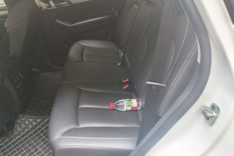 Used Roewe RX5 2018 20T Two-Wheel Drive Automatic Flagship Edition Left Rear Seat