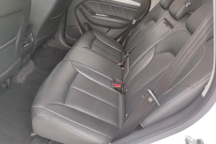 Used Roewe RX5 2018 20T Two-Wheel Drive Automatic Flagship Edition Left Rear Seat